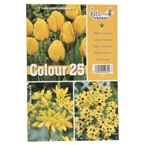 Colour Collection Spring Flowering Bulbs Yellow (25 Bulbs) Bee Friendly