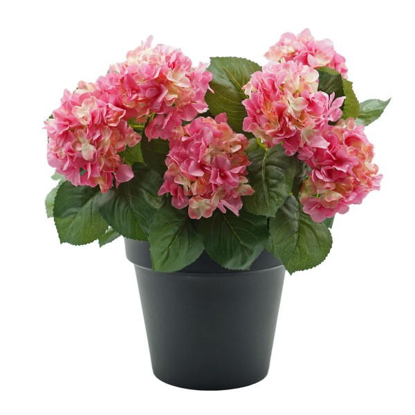 Artificial Pink Hydrangea in Black Pot 50cm/20in