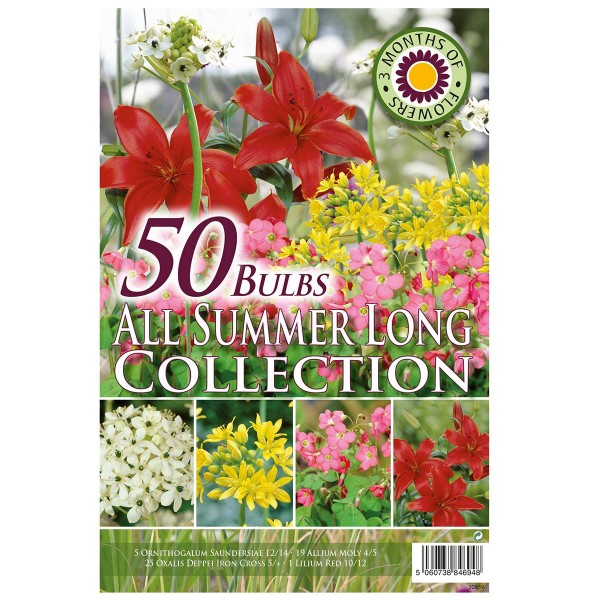 Pack of 50 GreenBrokers White Colour Collection Summer Flowering Bulbs