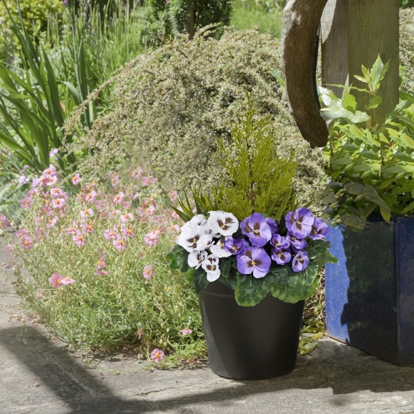 Artificial Purple & White Pansy Black Patio Planter 60cm/24in - GB1078