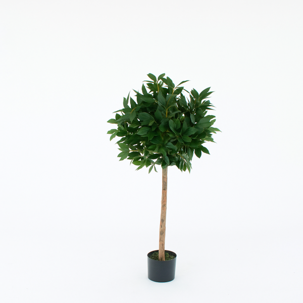 Artificial Laurel Tree | Topiary Faux Tree | With Real Wood Trunk | Natural Leaf and Brown Berries| Premium Quality Natural Appearance | Indoor and Outdoor | 4ft/120 cm - G1038