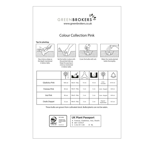 Pink Colour Collection Summer Flowering Bulbs (50 Bulbs) - GB1309