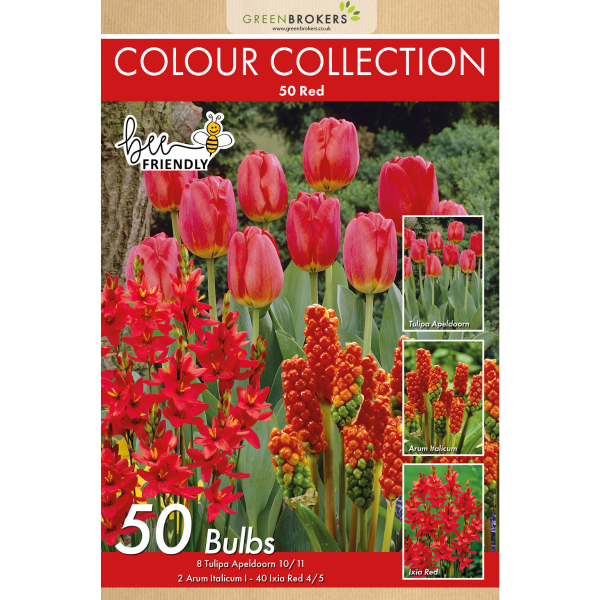 GreenBrokers Red Colour Collection – 50 Dutch Bulbs, Bee-Friendly Mix B1213
