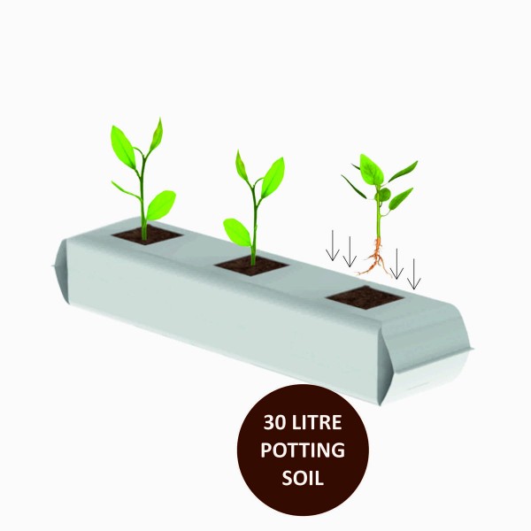 Organic Purpose Potting Compost Grow Bag Expands to 30Ltr