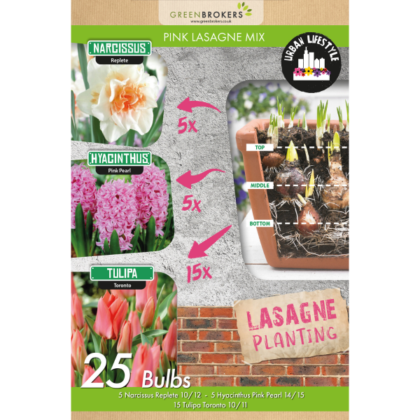 GreenBrokers Pink Lasagne Mix – 25 Spring Flower Bulbs, Bee Friendly B1201
