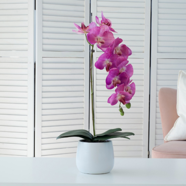 Elegant Large Single Stem Pink Real Touch Artificial Potted Orchid (65cm) in Round White Ceramic Pot A1318