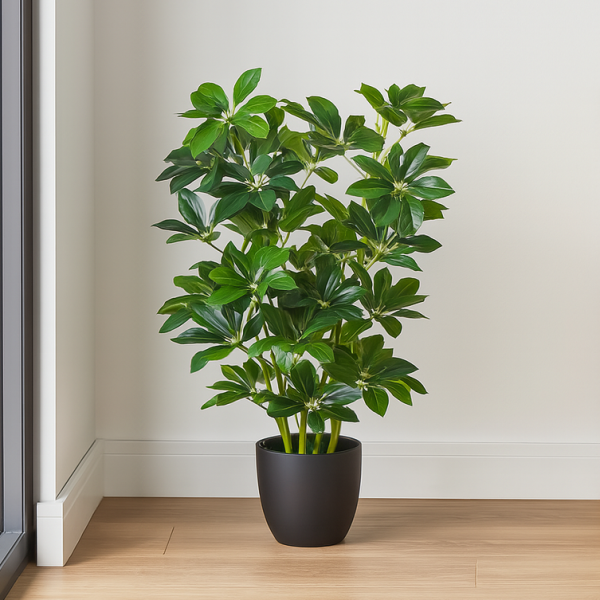 Artificial Schefflera Umbrella Plant in Black Pot 95cm/3ft - A1163