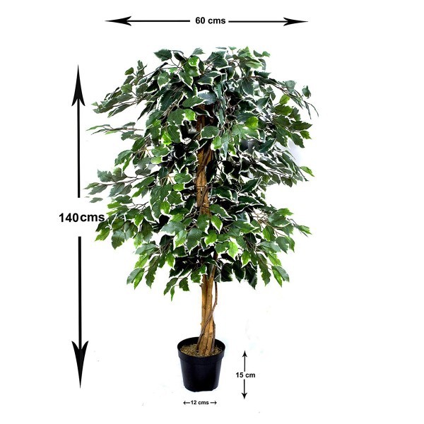 2 x Artificial Variegated Ficus Trees 120cm/4ft - A1155