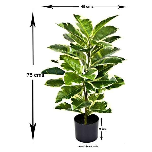 Artificial Real Touch Rubber Plant in Pot 75cm/2ft - GB1131