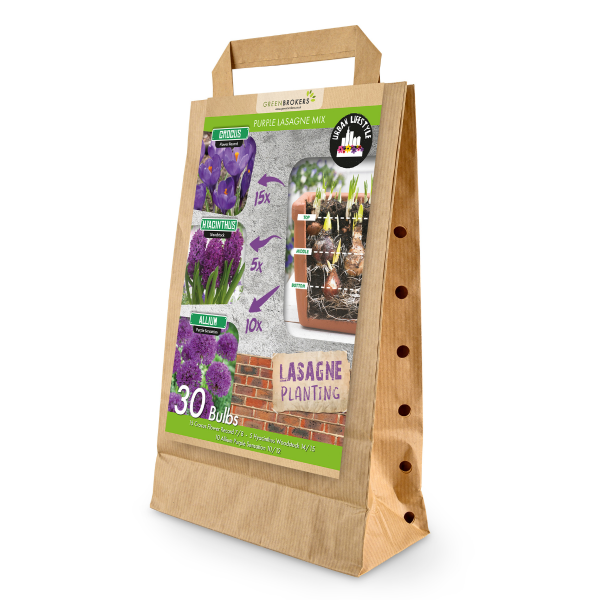 GreenBrokers Purple Lasagne Bulb Mix – 30 Spring Bulbs, Bee-Friendly B1202
