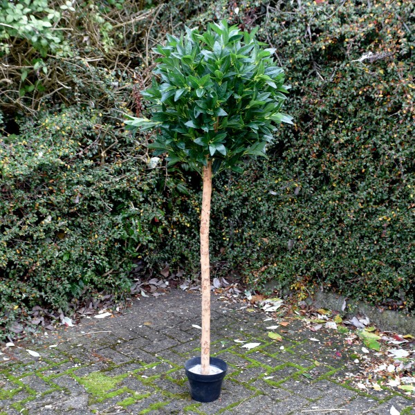Artificial Bay Tree 152cm/5ft