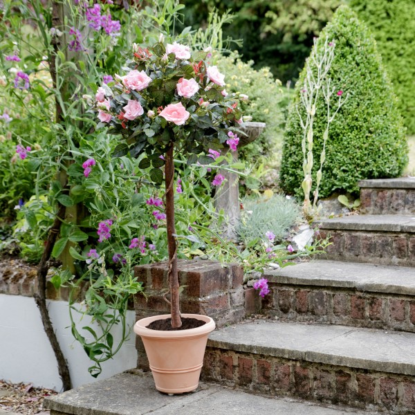 Artificial Pink Rose Tree 30 Flowers 120cm/4ft - GB1405