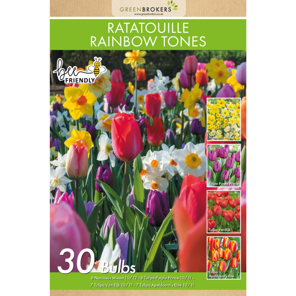 GreenBrokers Ratatouille Rainbow Bulb Mix – 30 Dutch Bulbs, Bee-Friendly Gift B1168