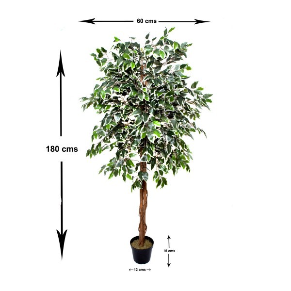 Artificial Variegated Ficus Tree 180cm/6ft - GB1272