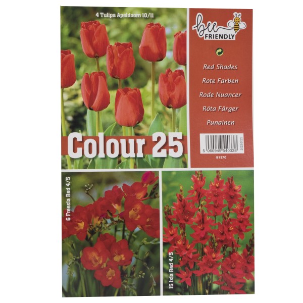 Colour Collection Spring Flowering Bulbs - Red - (25 Bulbs) Bee Friendly 