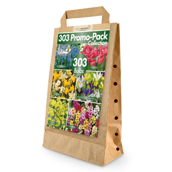 GreenBrokers 303 Bee-Friendly Spring Bulbs, Eco Garden Pack in Paper Gift Bag B1165