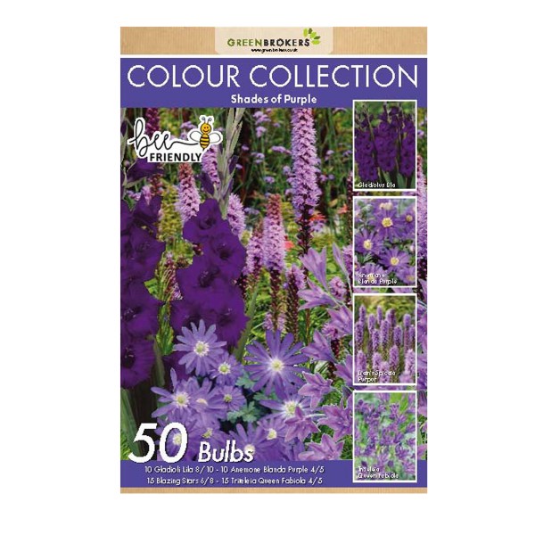 Purple Colour Collection Summer Flowering Bulbs (50 Bulbs) - GB1308