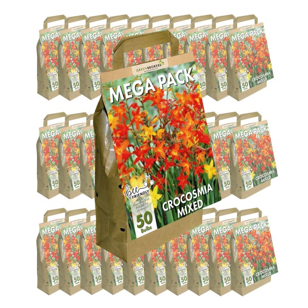 30 Packs Big Buy Mega Pack Crocosmia Summer Flowering (50 Bulbs)