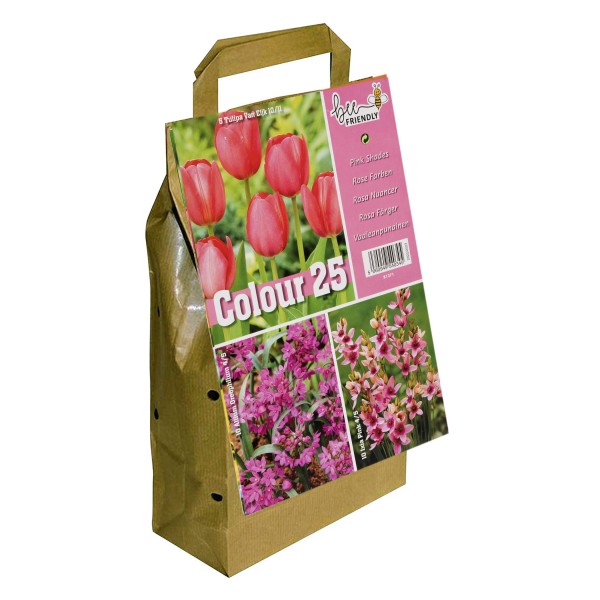 Colour Collection Spring Flowering Bulbs - Pink (25 Bulbs) Bee Friendly 