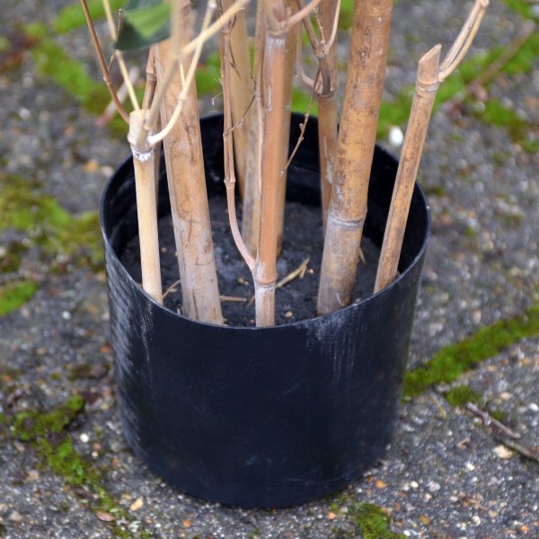 Artificial Bamboo Tree in Pot 180cm