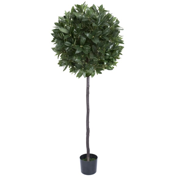 Artificial Premium Quality Bay Tree 152cm/5ft 