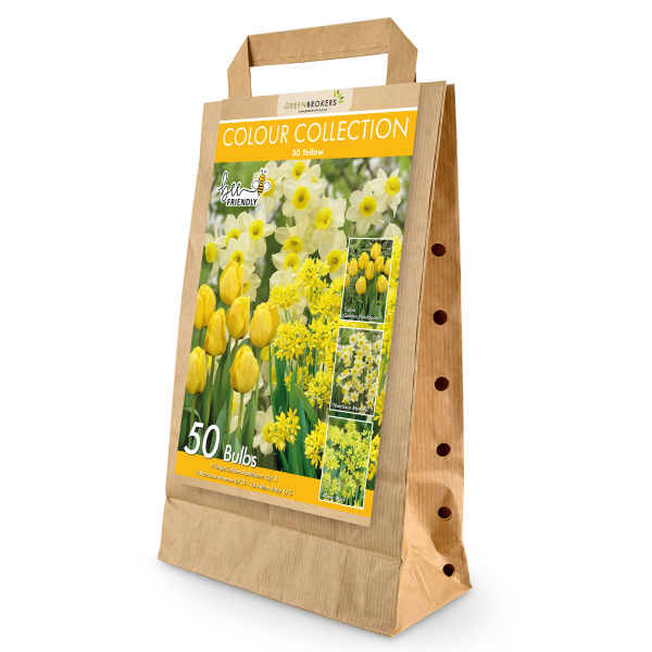GreenBrokers Yellow Colour Collection – 50 Dutch Bulbs, Bee-Friendly Mix B1217