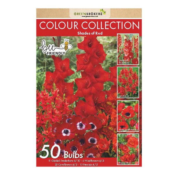 Red Colour Collection Summer Flowering Bulbs (50 Bulbs) - GB1306