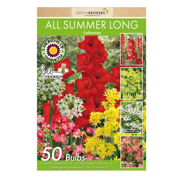 All Summer Long Flowering Bulbs Big Value Pack Mixed Colours (50 Bulbs) - GB1312