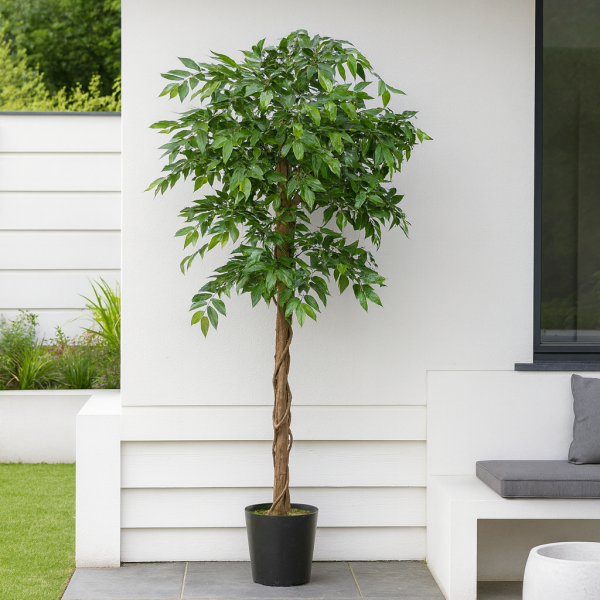 Artificial Ficus Weeping Fig Tree Potted Plant 160cm/5ft- A1274
