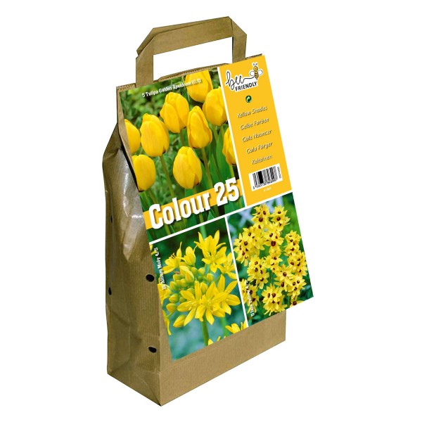 Colour Collection Spring Flowering Bulbs -Yellow (25 Bulbs) Bee Friendly