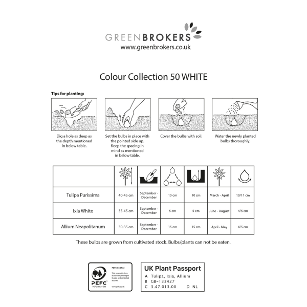 GreenBrokers White Colour Collection – 50 Dutch Bulbs, Bee-Friendly Mix B1214