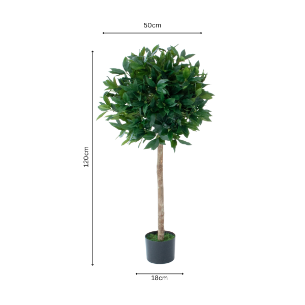 Artificial Bay Tree 120cm/4ft (Set of 2) With A Real Wood Trunk, Natural Leaf and Brown Berries - G1509