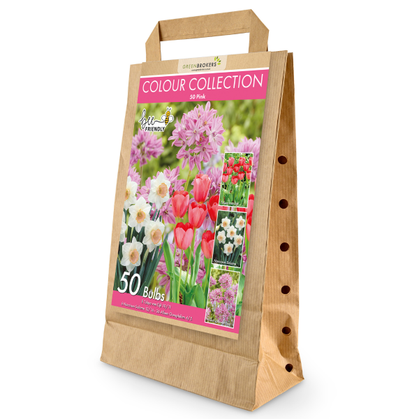 GreenBrokers Pink Colour Collection – 50 Dutch Bulbs, Bee-Friendly Mix B1216