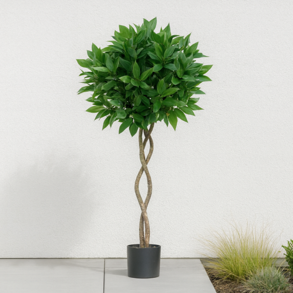 Artificial Twisted Trunk Bay Laurel Tree With Wood Effect Trunk, Natural Leaf and Brown Berries 4ft/120 cm - A1324