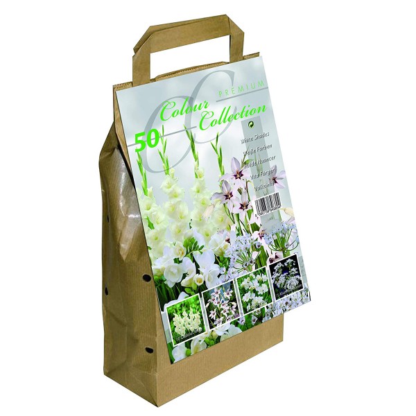 White Colour Collection Summer Flowering Bulbs Pack of 50