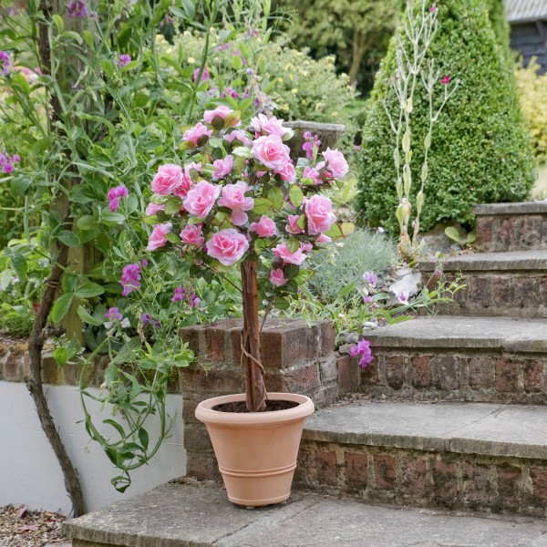 Artificial Pink Rose Tree 60 Flowers 90cm/3ft