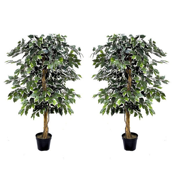 2 x Artificial Variegated Ficus Trees 120cm/4ft - GB1155