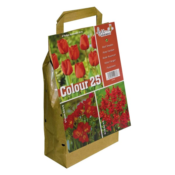 Colour Collection Spring Flowering Bulbs Red (25 Bulbs) Bee Friendly