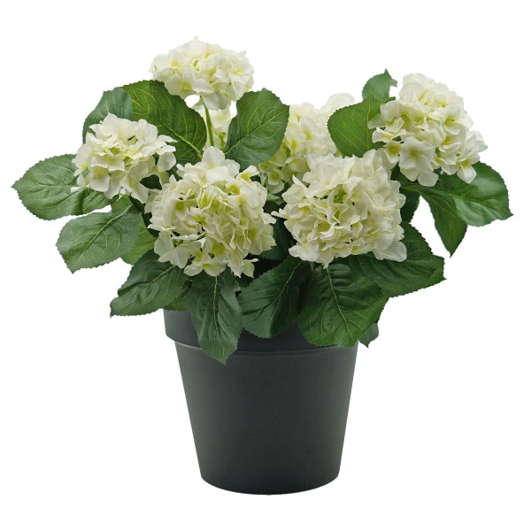 Artificial White Hydrangea in Black Pot 50cm/20in