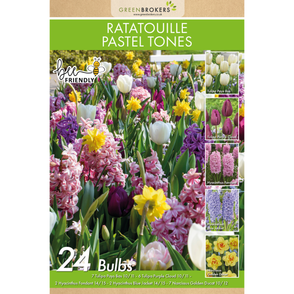 GreenBrokers Ratatouille Pastel Bulb Mix – 24 Dutch Bulbs, Bee-Friendly Gift B1173