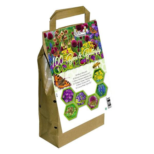 Big Buy Value Pack Bees & Butterfly Bulbs Collection-6 Spring Flowering Varieties (100 Bulbs) 