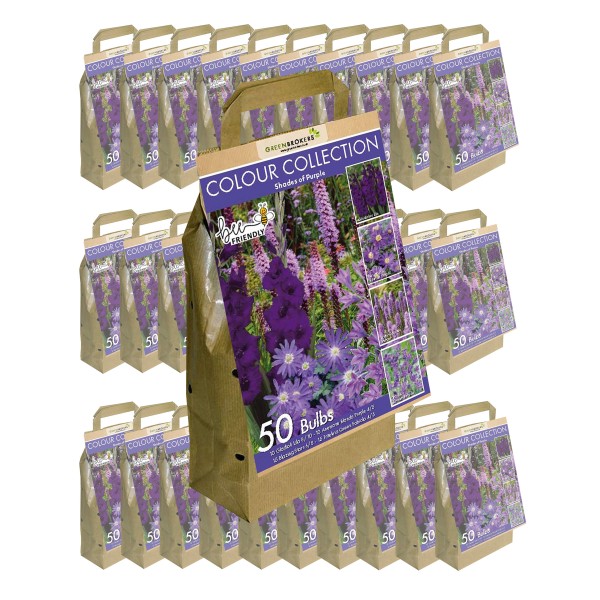 30 Packs Purple Colour Collection Summer Flowering Bulbs (50 Bulbs)