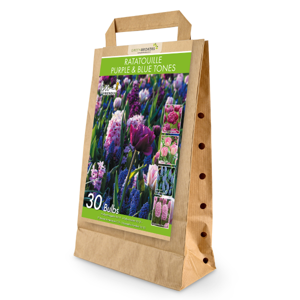 GreenBrokers Ratatouille Purple & Blue Tones Bulb Mix – 30 Dutch Bulbs B1174