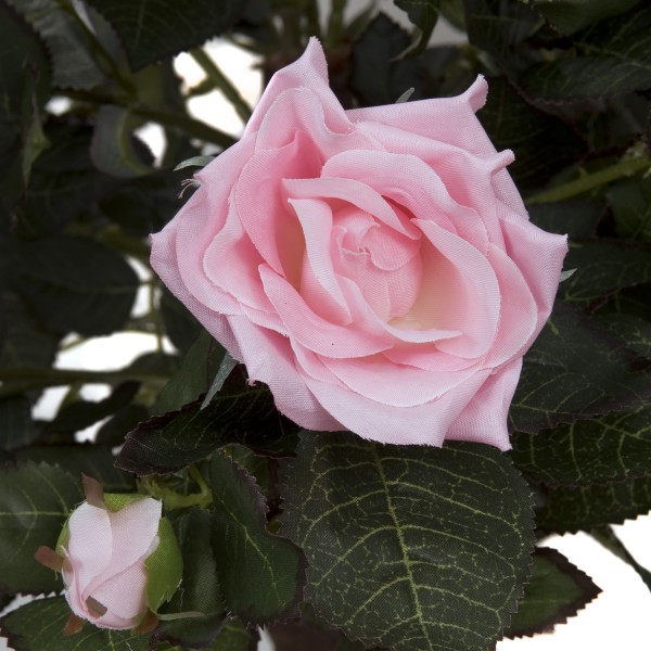 Artificial Pink Rose Tree 30 Flowers 120cm/4ft - GB1405