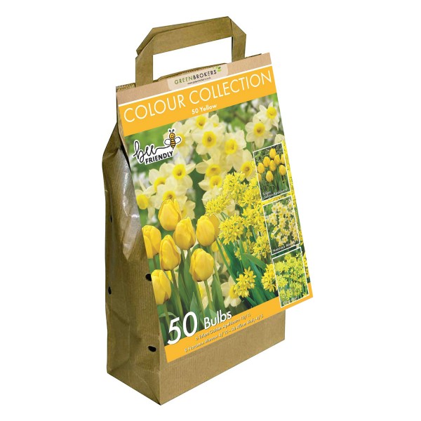 Colour Collection Spring Flower Bulbs-Yellow (50 Bulbs) Bee Friendly