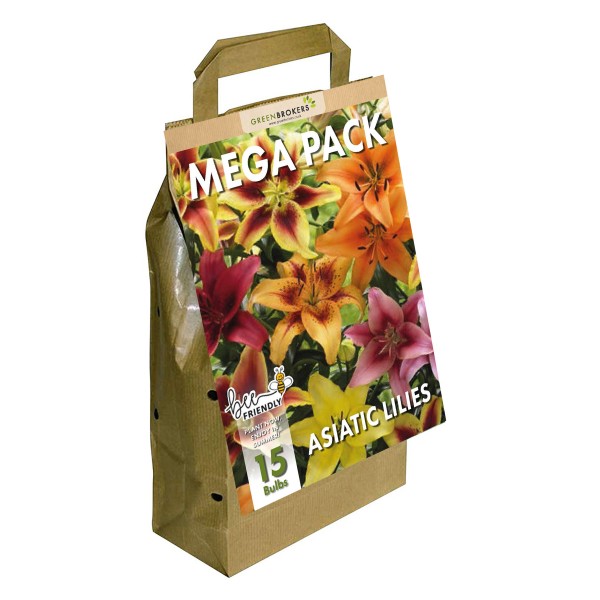 Big Buy Mega Summer Pack Lilies Mixed Colours (15 Bulbs) - GB1302