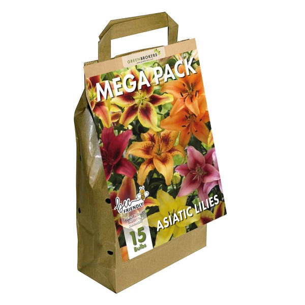 Big Buy Mega Summer Pack Lilies Mixed Colours (15 Bulbs) 