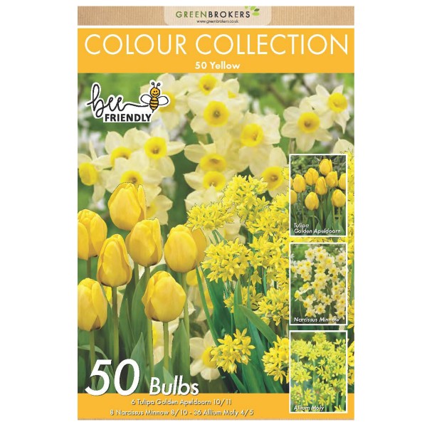 Colour Collection Spring Flower BulbsYellow (50 Bulbs) Bee Friendly