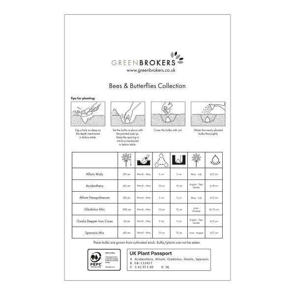 Bee and Butterfly Summer Collection Big Value Pack 6 Flowering Varieties Mixed Colour (101 Bulbs) - GB1311