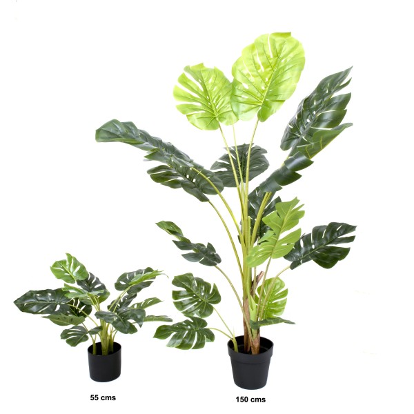 Artificial Tropical Monstera Tree in Black Pot 55cm/22in - GB1292